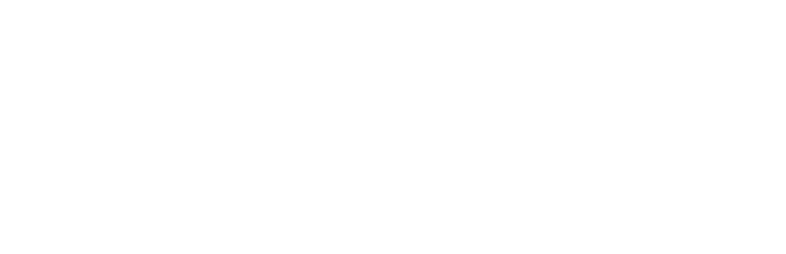 Lewis Management Corp